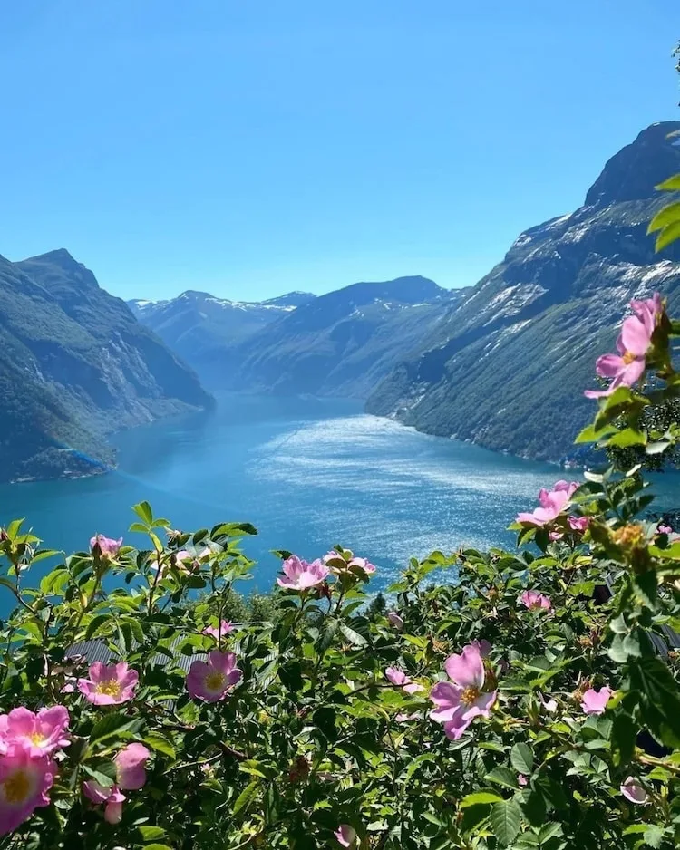 primavera en noruega